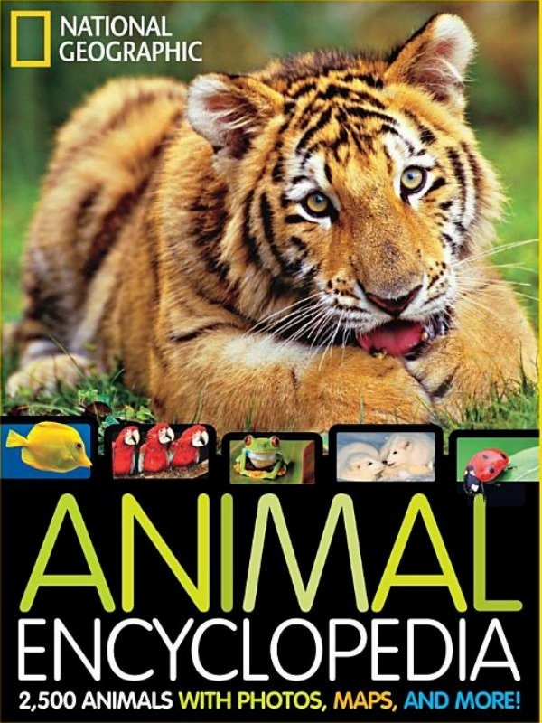 Animal Encyclopeadia | are you sitting comfortably?